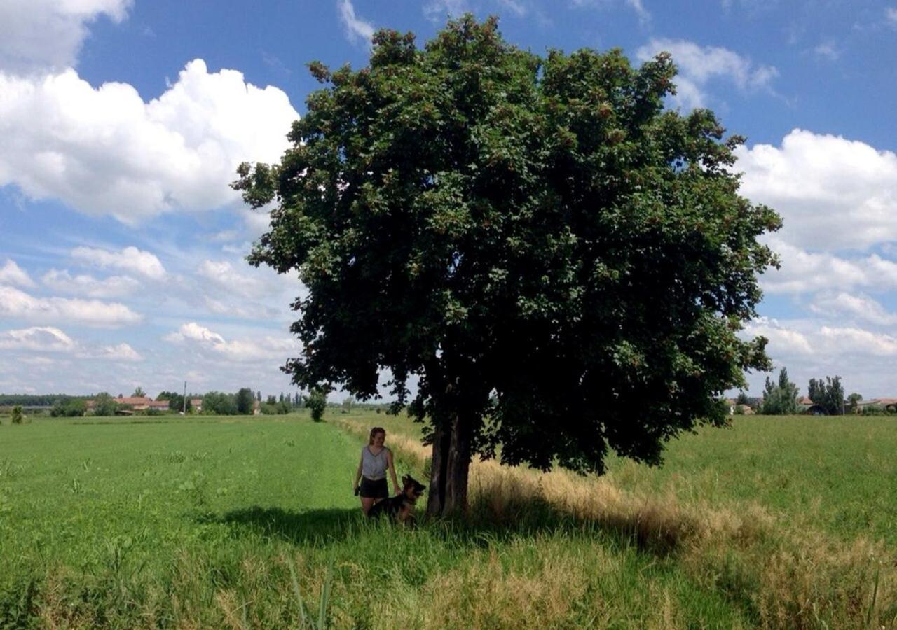 B&B Antica Cascina Boretto Buitenkant foto